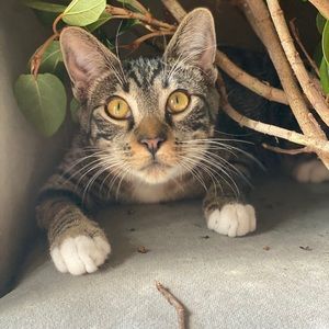 Meet your Posher, Beth